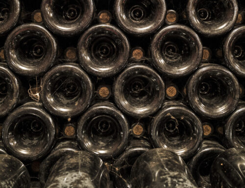 How to store champagne properly