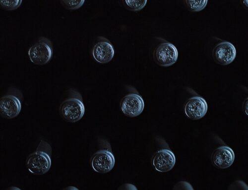 Why professional wine storage makes sense